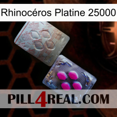 Rhinocéros Platine 25000 38